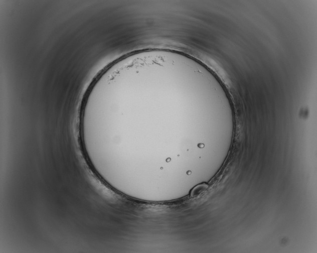 X0000101401136200807280956