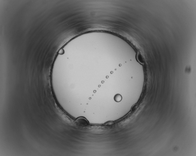 X0000101401137200807280956