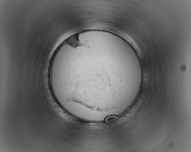 X0000101401138200807280956