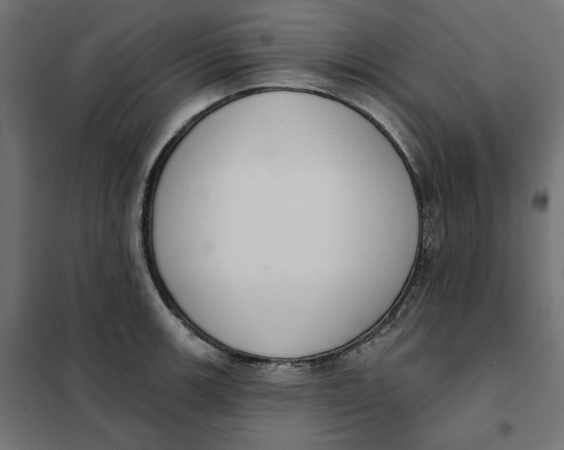 X0000101401139200807280956