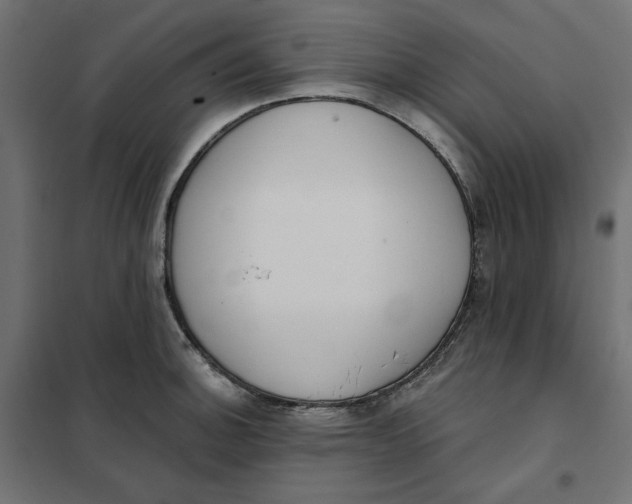 X0000101401140200807280956