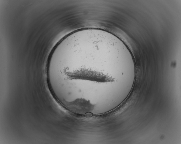 X0000101401141200807280956