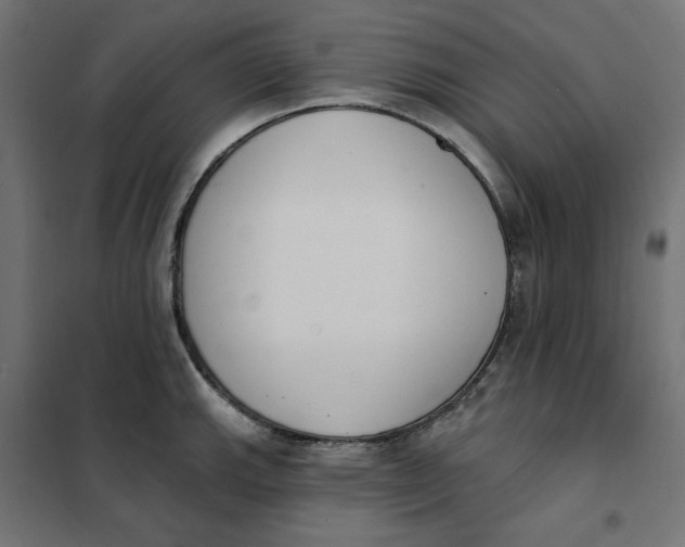 X0000101401143200807280956