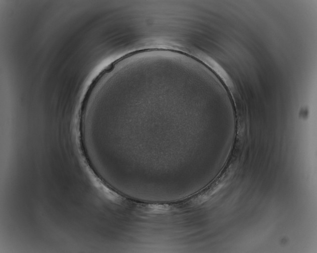 X0000101401144200807280956