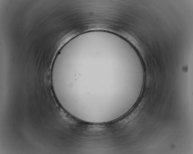 X0000101401145200807280956