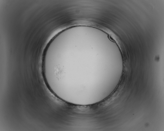 X0000101401147200807280956