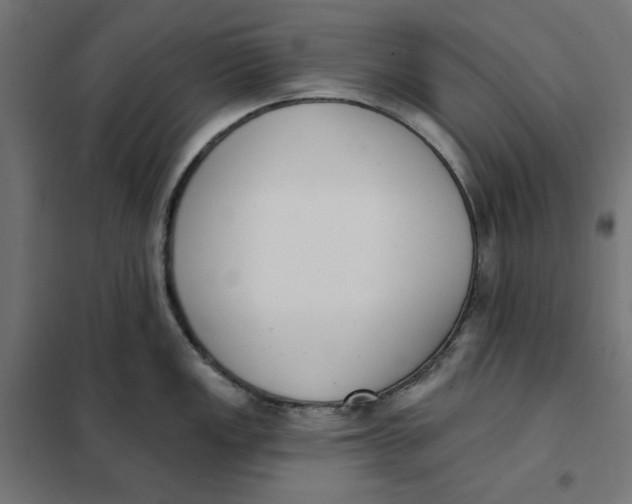 X0000101401149200807280956