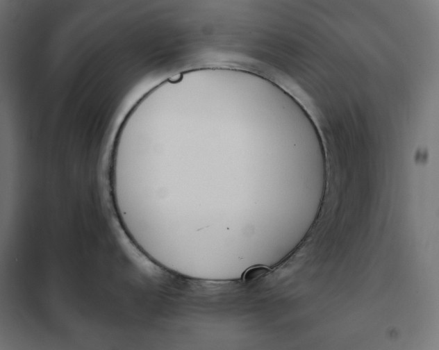 X0000101401152200807280956