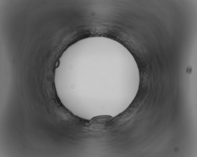 X0000101401153200807280955