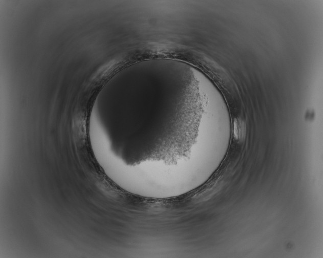 X0000101401155200807280955