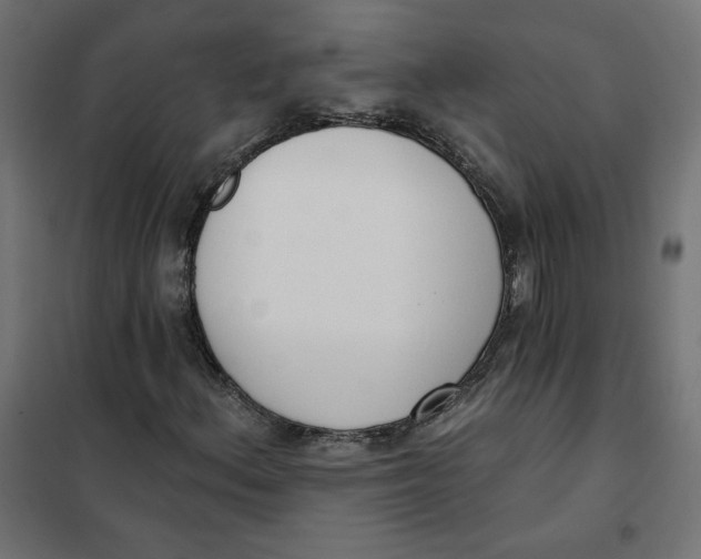 X0000101401156200807280955