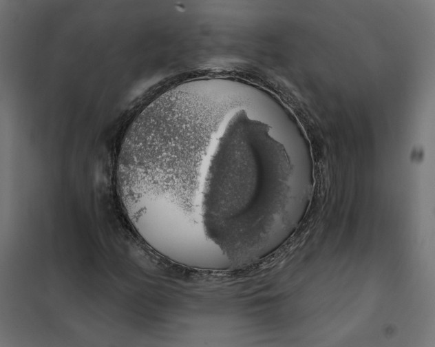 X0000101401158200807280955