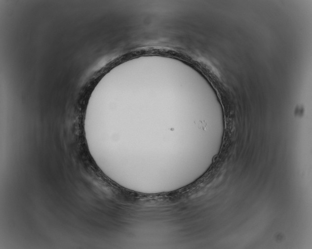 X0000101401159200807280955