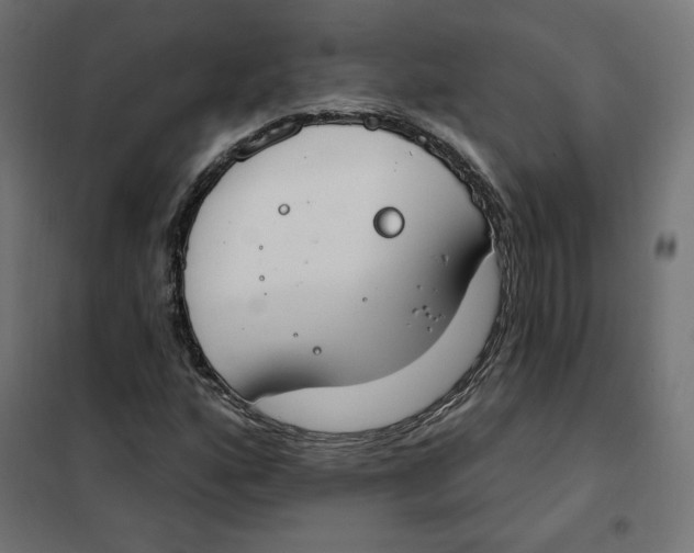 X0000101401160200807280955