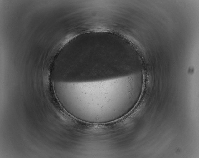 X0000101401161200807280955