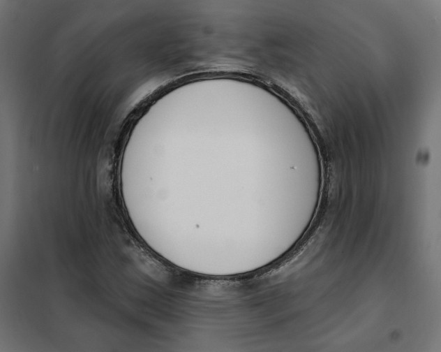 X0000101401163200807280955