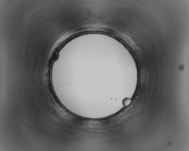 X0000101401164200807280955