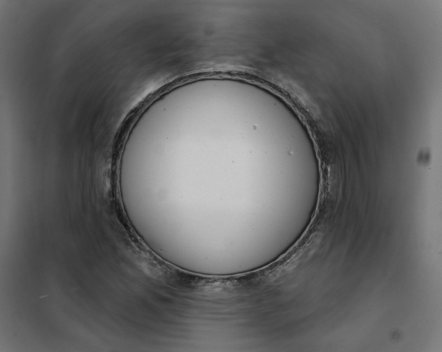 X0000101401165200807280955