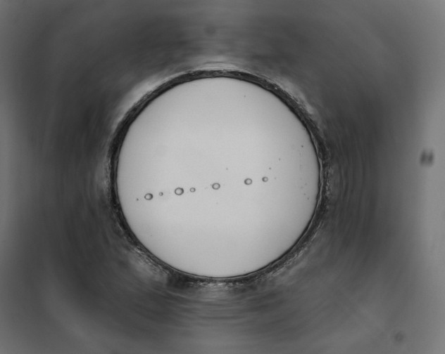 X0000101401167200807280955