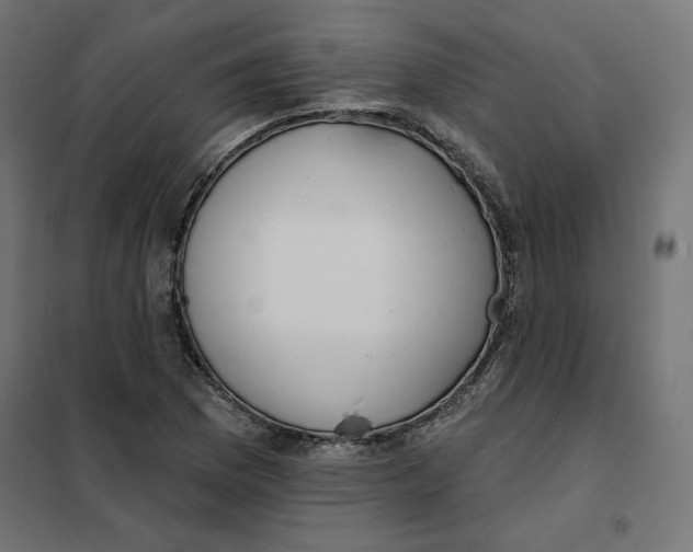 X0000101401169200807280955