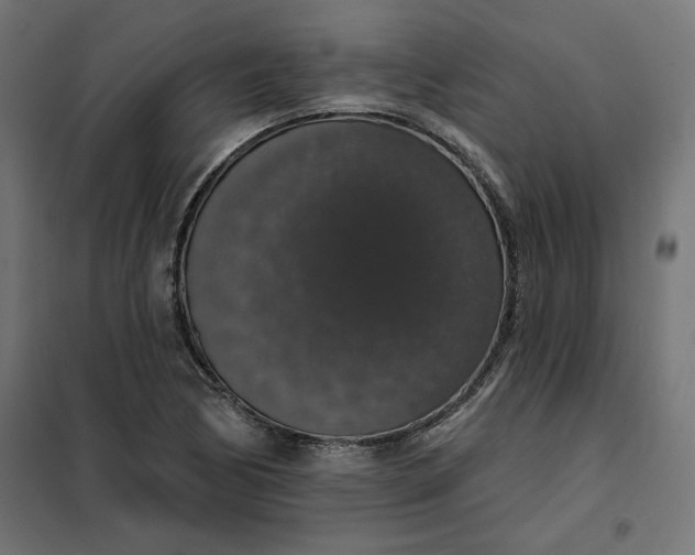 X0000101401170200807280955