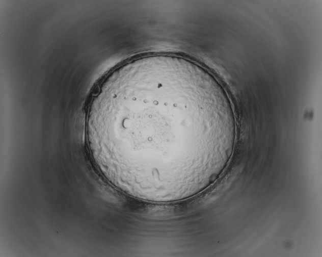 X0000101401171200807280955