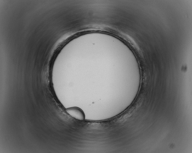 X0000101401172200807280955