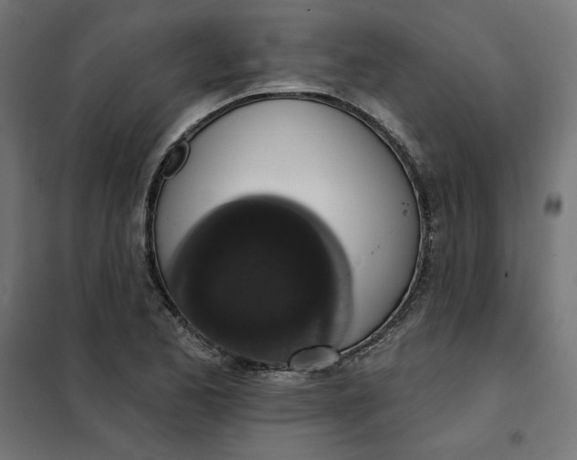 X0000101401173200807280955