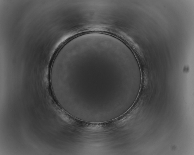 X0000101401174200807280955