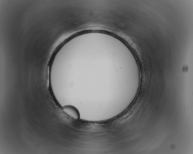 X0000101401175200807280955