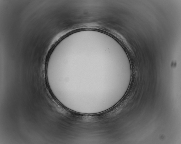 X0000101401176200807280955