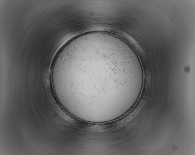 X0000101401178200807280955