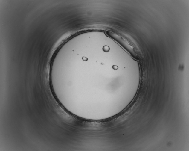 X0000101401180200807280955