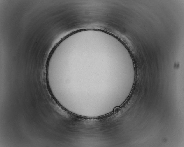 X0000101401184200807280955