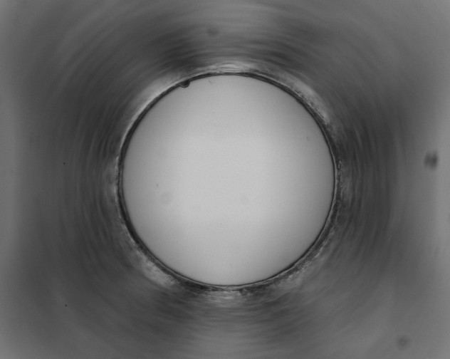 X0000101401186200807280955