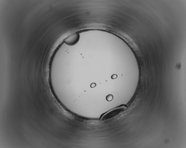 X0000101401188200807280955