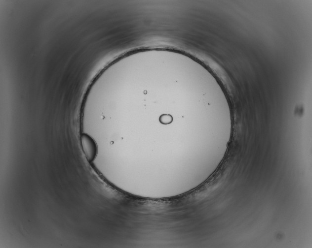 X0000101401191200807280955