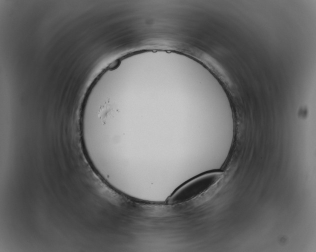 X0000101401192200807280954