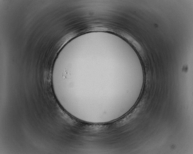 X0000101401193200807280954