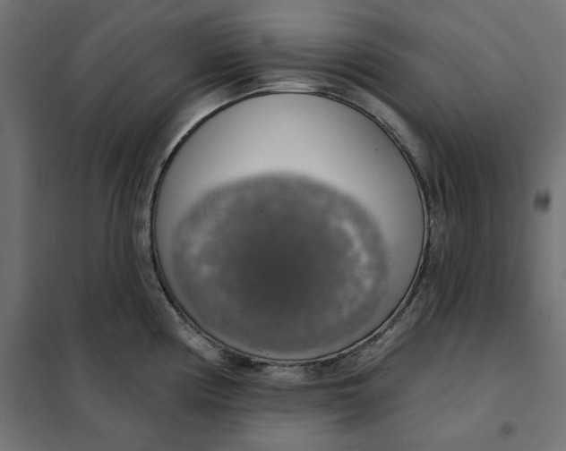 X0000101401194200807280954