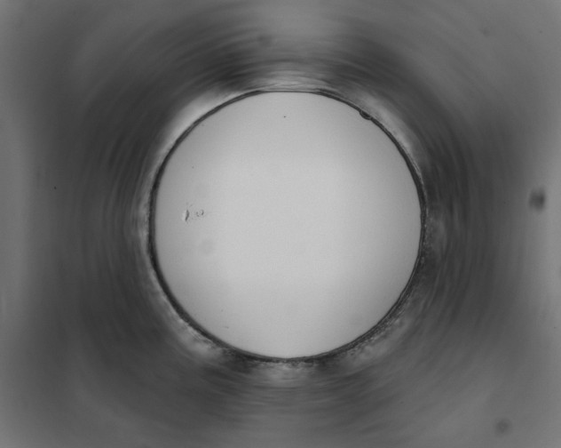 X0000101401195200807280954