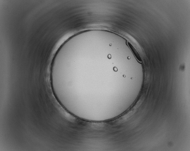 X0000101401196200807280954