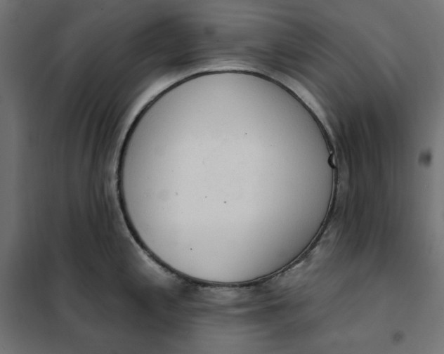 X0000101401197200807280954