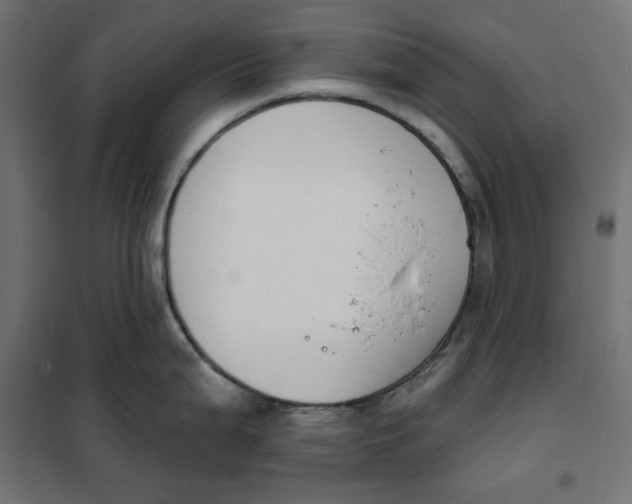 X0000101401199200807280954