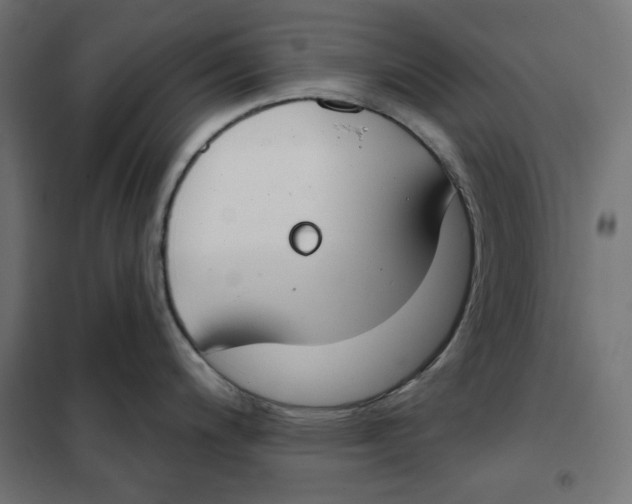 X0000101401200200807280954