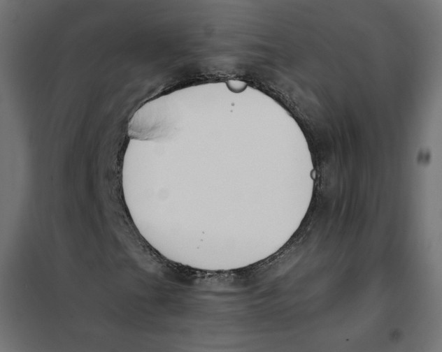 X0000101401201200807280954