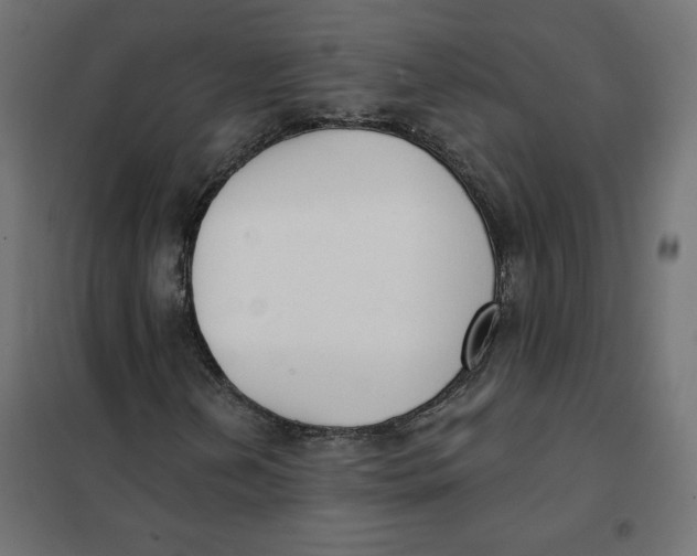 X0000101401202200807280954