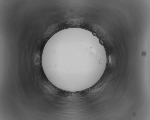 X0000101401203200807280954