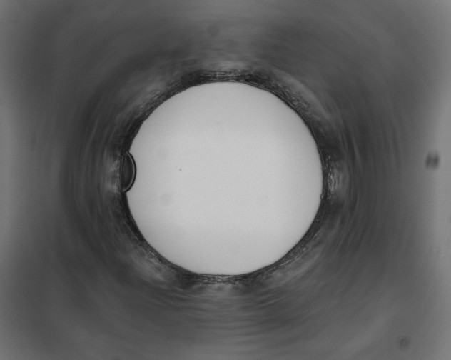 X0000101401204200807280954