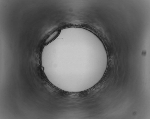 X0000101401205200807280954